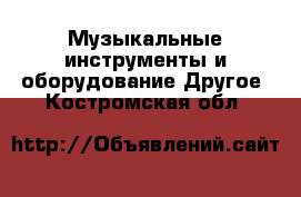 Музыкальные инструменты и оборудование Другое. Костромская обл.